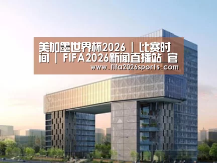 案例展示四