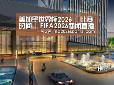 案例展示二