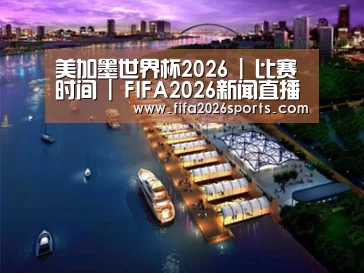 案例展示八