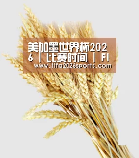 美加墨世界杯2026 | 比赛时间 | FIFA2026新闻直播站_官网入口