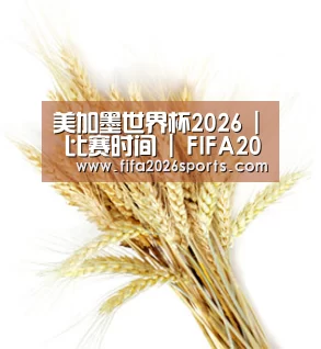 美加墨世界杯2026 | 比赛时间 | FIFA2026新闻直播站_官网入口