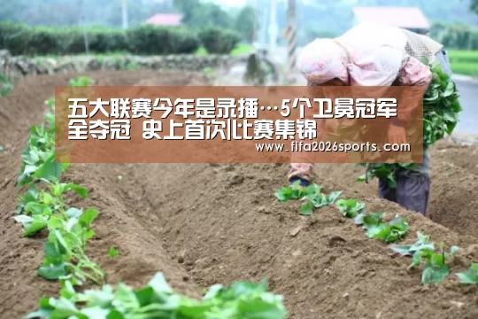 五大联赛今年是录播…5个卫冕冠军全夺冠 史上首次|比赛集锦(图1) 淘汰赛