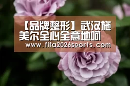 【品牌整形】武汉施美尔全心全意地呵护您的美丽“世界杯专题”(图1) 比赛集锦