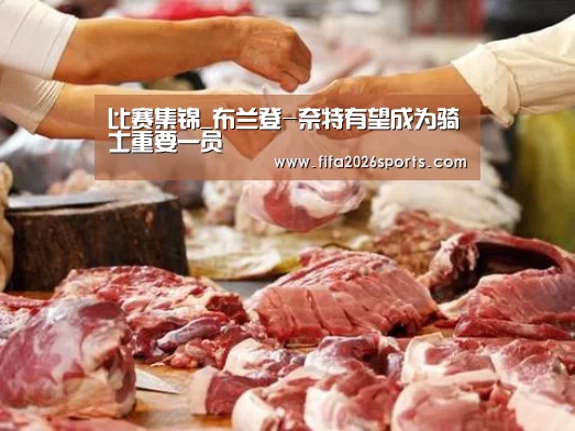 比赛集锦_布兰登-奈特有望成为骑士重要一员(图4) 球队名单