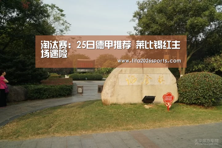 淘汰赛:25日德甲推荐 莱比锡红主场遇险(图1) 球队名单