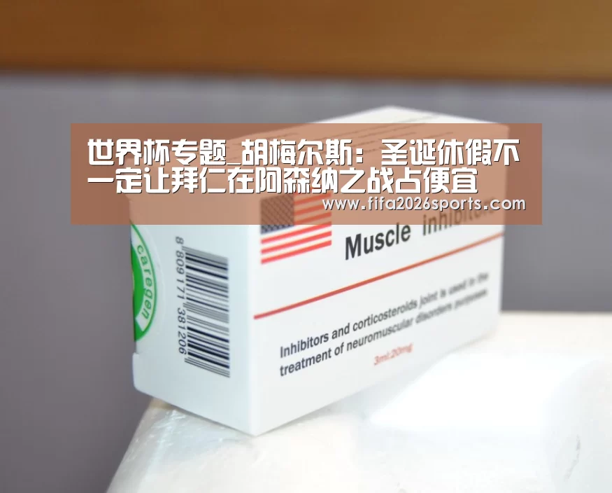 世界杯专题_胡梅尔斯:圣诞休假不一定让拜仁在阿森纳之战占便宜(图1) 淘汰赛