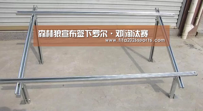 球队名单