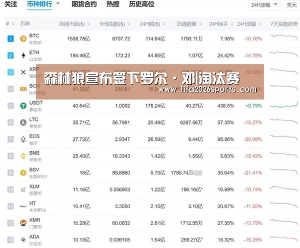 世界杯专题