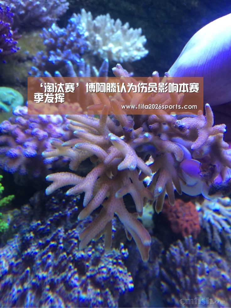 ‘淘汰赛’博阿滕认为伤员影响本赛季发挥(图1) 球队名单